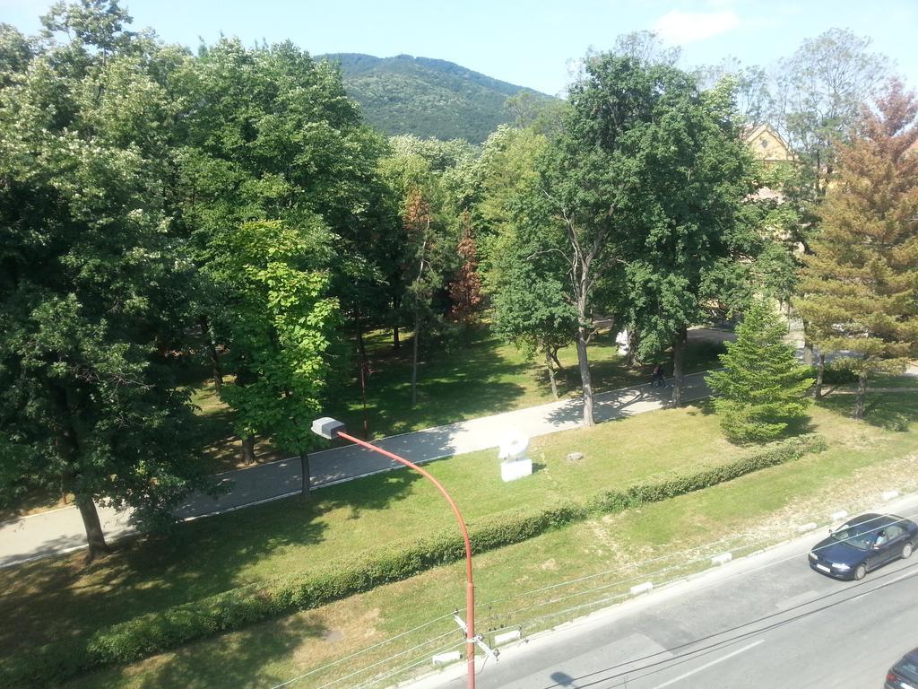 Park Srce Apartments Arandjelovac Kültér fotó