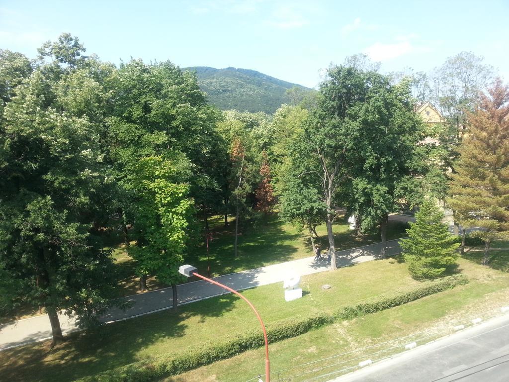 Park Srce Apartments Arandjelovac Szoba fotó